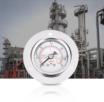 Industria petroquímica Pressure Gauges