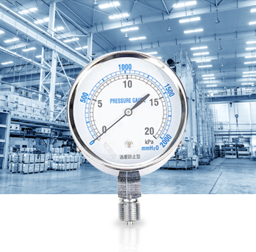 Industria de producción industrial Pressure Gauges